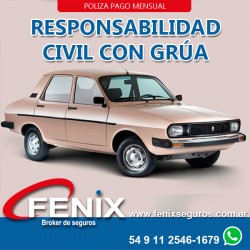 Responsabilidad civil Renault