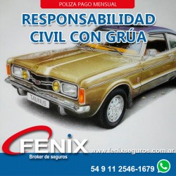 Responsabilidad civil Ford