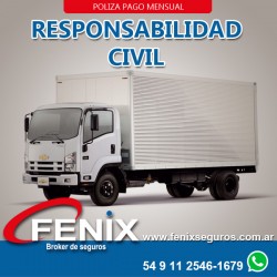 Responsabilidad civil...