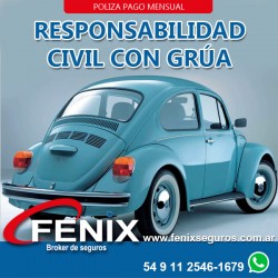 Responsabilidad civil...