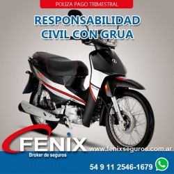 Responsabilidad civil Zanella