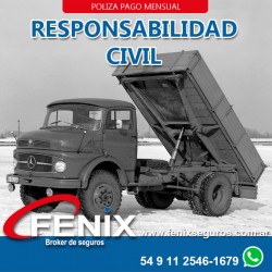 Responsabilidad civil...